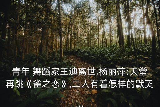 青年 舞蹈家王迪离世,杨丽萍:天堂再跳《雀之恋》,二人有着怎样的默契...