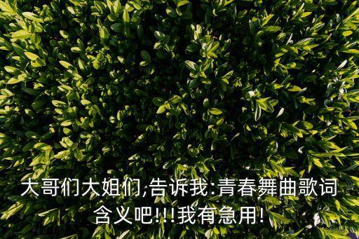 大哥们大姐们,告诉我:青春舞曲歌词含义吧!!!我有急用!