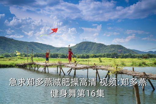 急求郑多燕减肥操高清 视频:郑多燕健身舞第16集