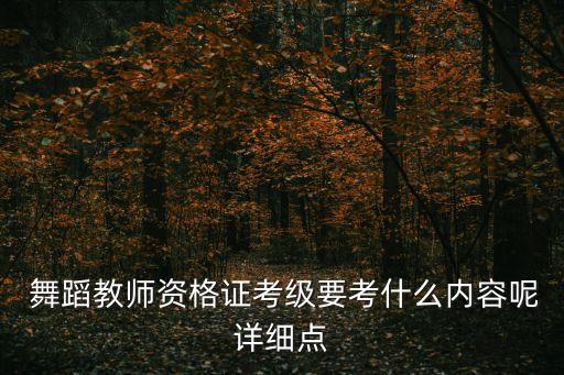 舞蹈学院等级考试课