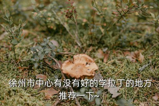  徐州市中心有没有好的学拉丁的地方推荐一下~
