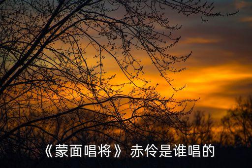 赤伶舞蹈完整版慢动作教学,赤伶dj舞蹈完整版