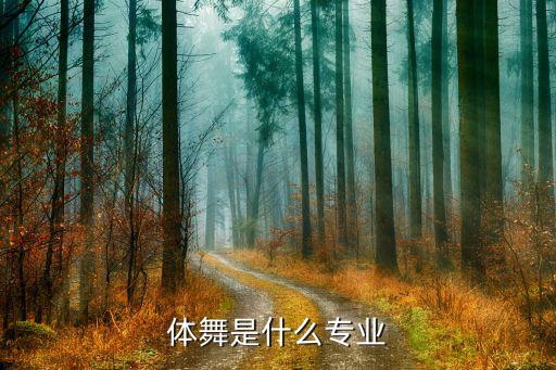 体舞是什么专业