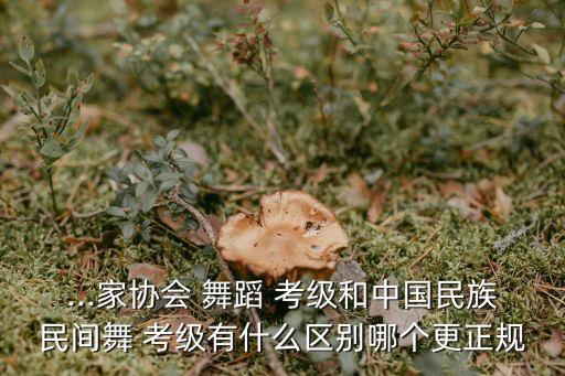 ...家协会 舞蹈 考级和中国民族民间舞 考级有什么区别哪个更正规