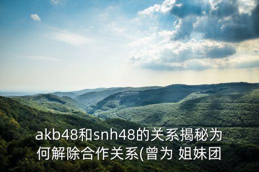 akb48和snh48的关系揭秘为何解除合作关系(曾为 姐妹团