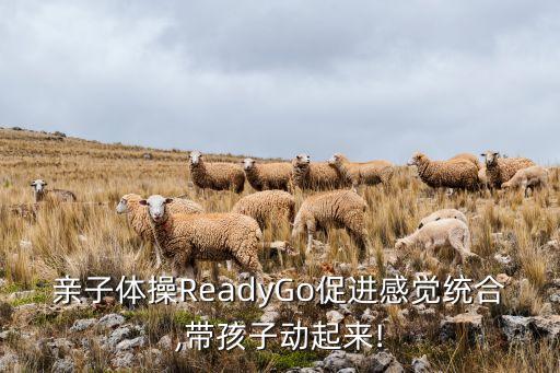 宝贝一起来舞蹈,中华儿女一起来赞美舞蹈
