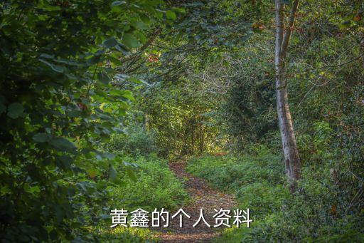 舞蹈演员的生涯,王迪舞蹈演员