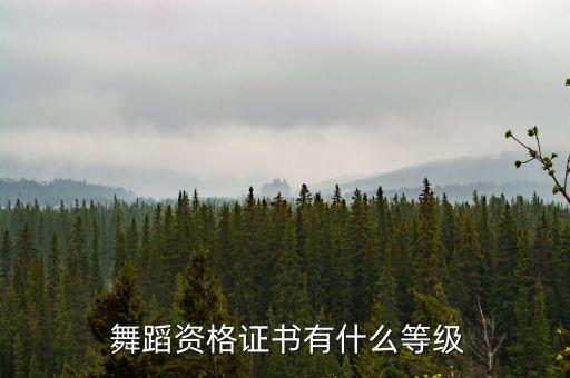  舞蹈资格证书有什么等级