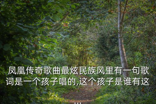  凤凰传奇歌曲最炫民族风里有一句歌词是一个孩子唱的,这个孩子是谁有这...