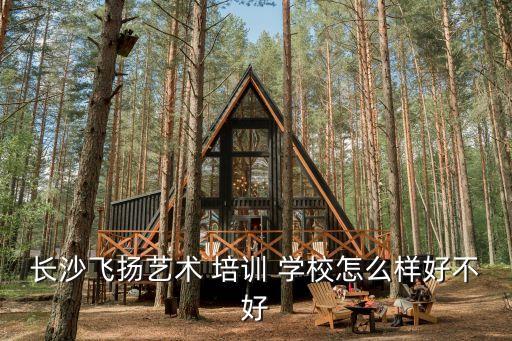 长沙飞扬艺术 培训 学校怎么样好不好