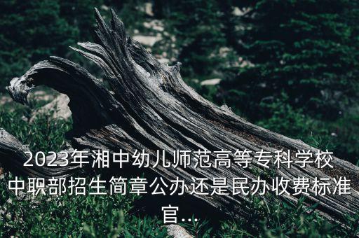 2023年湘中幼儿师范高等专科学校中职部招生简章公办还是民办收费标准官...