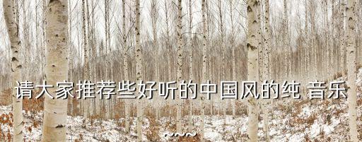 请大家推荐些好听的中国风的纯 音乐~~~