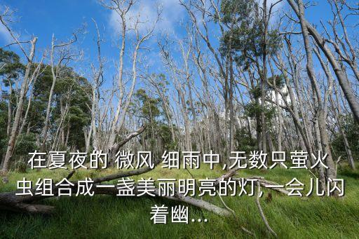 在夏夜的 微风 细雨中,无数只萤火虫组合成一盏美丽明亮的灯,一会儿闪着幽...