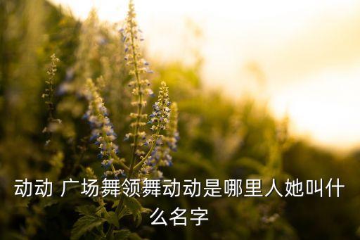 动动 广场舞领舞动动是哪里人她叫什么名字