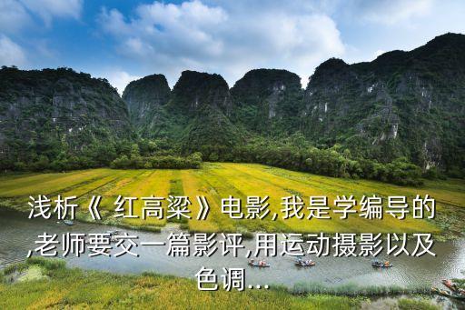 浅析《 红高粱》电影,我是学编导的,老师要交一篇影评,用运动摄影以及色调...