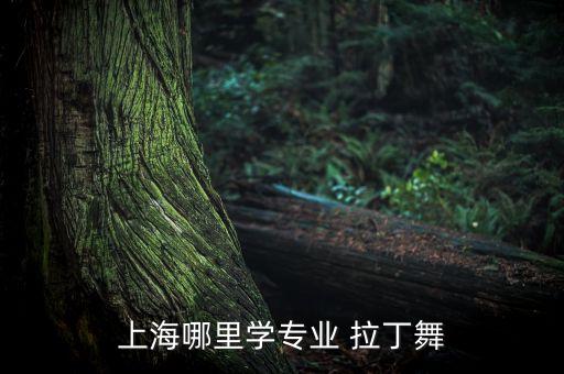 上海哪里学专业 拉丁舞