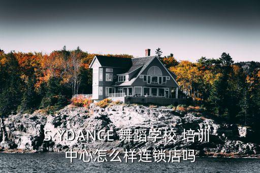 S.YDANCE 舞蹈学校 培训 中心怎么样连锁店吗