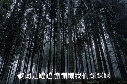  歌词是蹦蹦蹦蹦蹦我们踩踩踩
