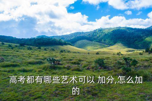 高考都有哪些艺术可以 加分,怎么加的