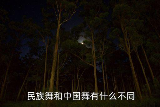  民族舞和中国舞有什么不同