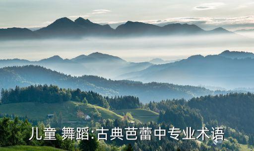 儿童 舞蹈:古典芭蕾中专业术语