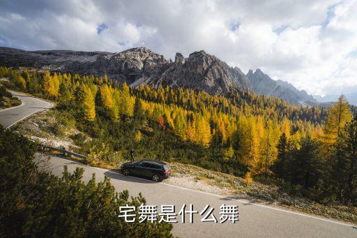 宅舞是什么舞