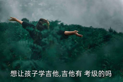 想让孩子学吉他,吉他有 考级的吗