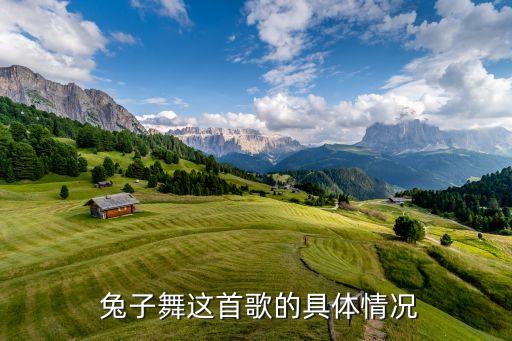  兔子舞这首歌的具体情况
