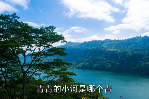 清清的河水舞蹈教学,赞美诗清清的河水舞蹈
