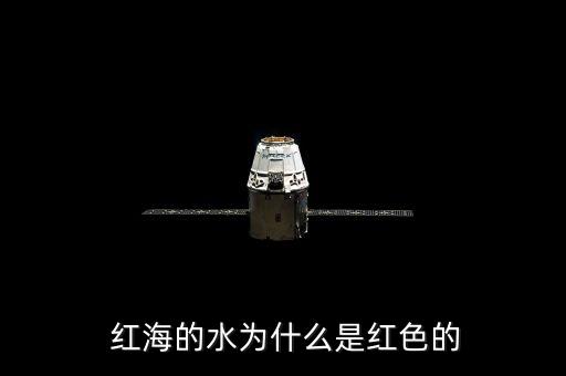  红海的水为什么是红色的
