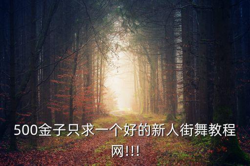 500金子只求一个好的新人街舞教程网!!!
