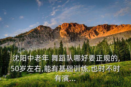  沈阳中老年 舞蹈队哪好要正规的,50岁左右,能有基础训练,也时不时有演...