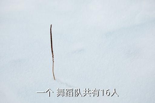 一个 舞蹈队共有16人