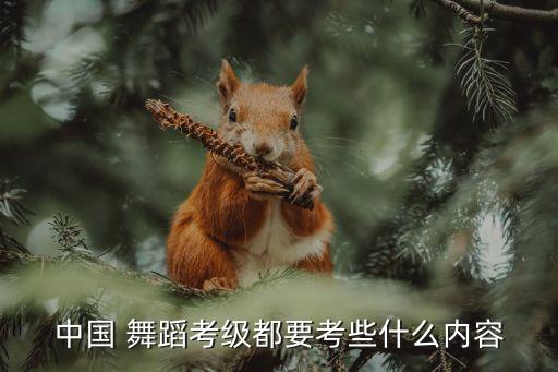 七级舞蹈五彩水果,五彩水果舞蹈教案