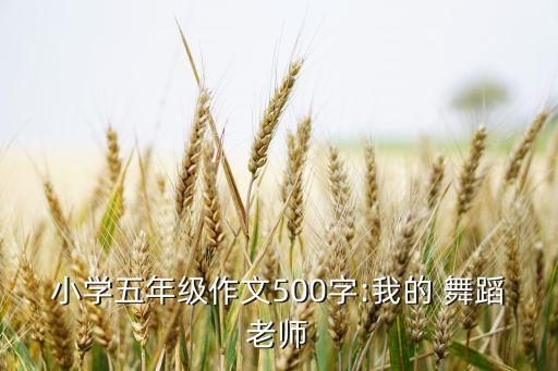小学五年级作文500字:我的 舞蹈老师