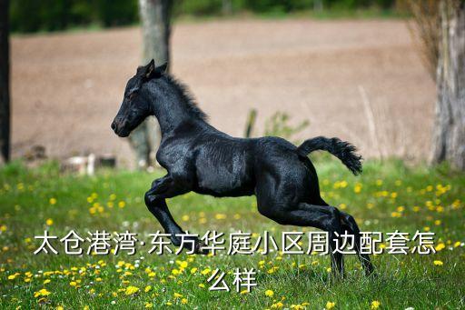  太仓港湾·东方华庭小区周边配套怎么样