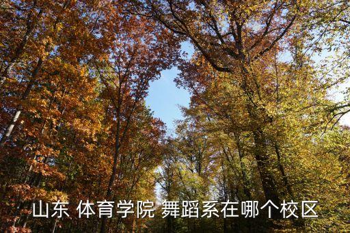 山东 体育学院 舞蹈系在哪个校区