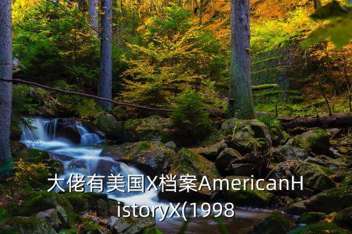 大佬有美国X档案AmericanHistoryX(1998