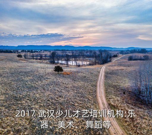 武汉E舞蹈,武汉227舞蹈工作室