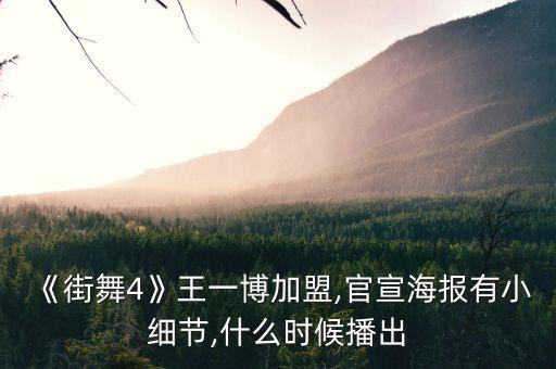 舞者联盟舞蹈,一个舞者对舞蹈的诠释