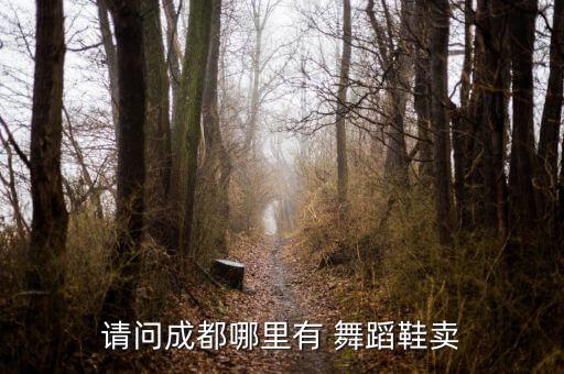 三莎舞蹈鞋官方网站,三沙舞蹈鞋官方网站