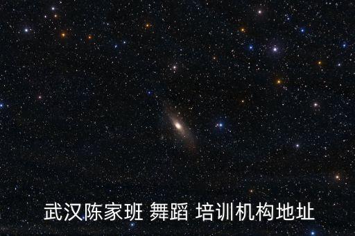 武汉哪里有舞蹈培训学校,武汉小希舞蹈培训学校怎么样