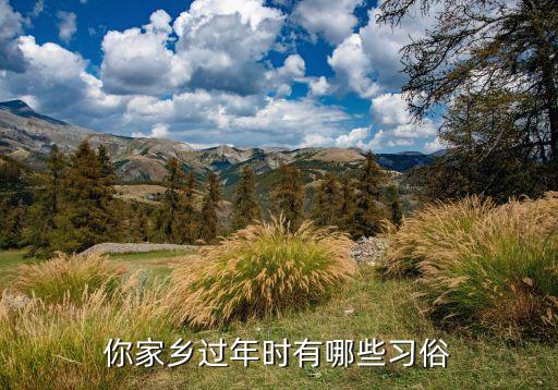 你家乡过年时有哪些习俗