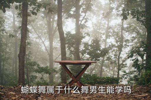  蝴蝶舞属于什么舞男生能学吗