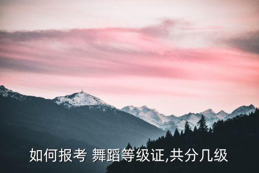 如何报考 舞蹈等级证,共分几级