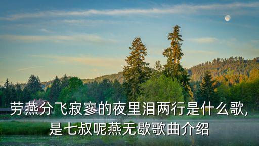 儿童版燕无歇分解动作舞蹈