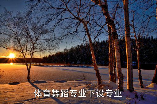 星蕾舞蹈团,叮星舞蹈团