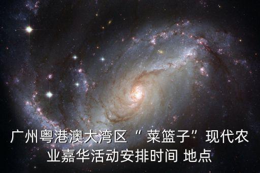 舞蹈变形对老百姓的菜篮子,舞蹈老百姓的菜篮子节目串词
