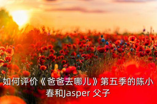 如何评价《爸爸去哪儿》第五季的陈小春和Jasper 父子