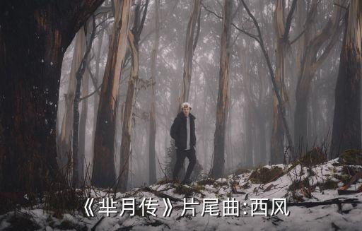 《芈月传》片尾曲:西风